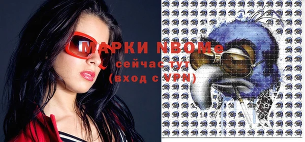 ГАЛЛЮЦИНОГЕННЫЕ ГРИБЫ Аркадак