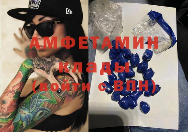 ГАЛЛЮЦИНОГЕННЫЕ ГРИБЫ Аркадак