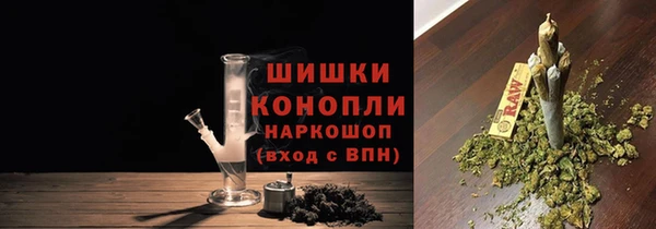 ГАЛЛЮЦИНОГЕННЫЕ ГРИБЫ Аркадак