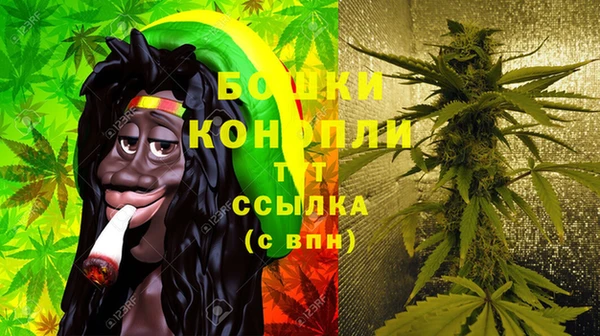 PSILOCYBIN Арсеньев