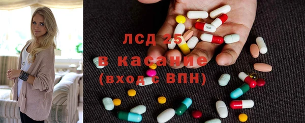 ГАЛЛЮЦИНОГЕННЫЕ ГРИБЫ Аркадак