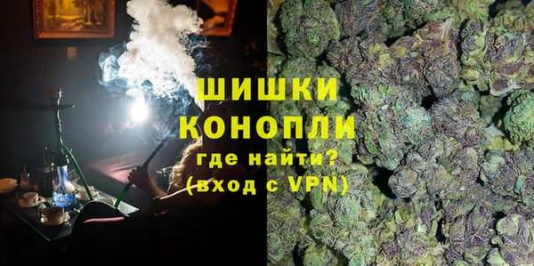 ГАЛЛЮЦИНОГЕННЫЕ ГРИБЫ Аркадак