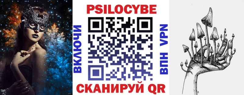 Псилоцибиновые грибы Psilocybine cubensis  Покровск 